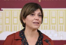 DEM Parti’nin İstanbul adayı Meral Danış Beştaş seçimlerde oy kullanamayacak