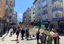 Rize Fındıklı’da çay alım fiyatına ‘tabutlu’ protesto