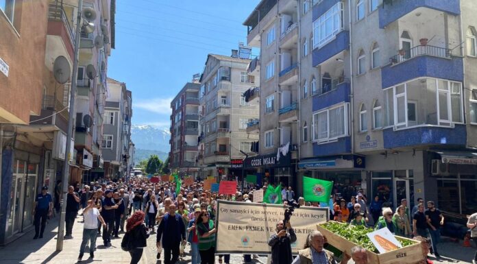 Rize Fındıklı’da çay alım fiyatına ‘tabutlu’ protesto