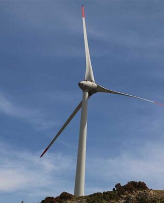 Rüzgar enerji santrali için Ege’de 36 bin ağaç kesilecek