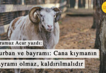 Kurban ve bayramı: Cana kıymanın bayramı olmaz, kaldırılmalıdır