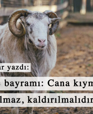 Kurban ve bayramı: Cana kıymanın bayramı olmaz, kaldırılmalıdır