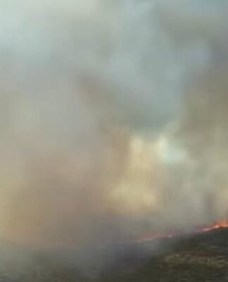 Urla’da orman yangını: Yangına müdahale devam ediyor