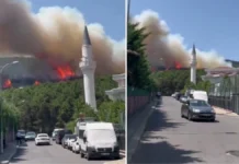 İstanbul’da Aydos Ormanı’nda yangın çıktı
