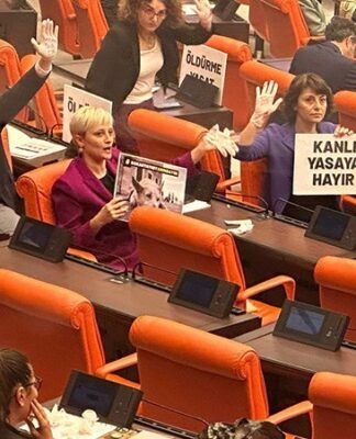 Sokak hayvanlarına ilişkin yasa teklifi Genel Kurul’da: Muhalefet direniyor