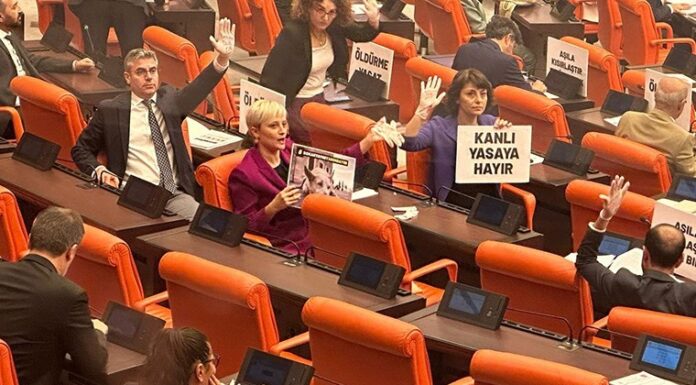 Sokak hayvanlarına ilişkin yasa teklifi Genel Kurul’da: Muhalefet direniyor
