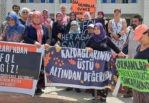 Mahkeme Kazdağlarını talan edecek Cengiz Holding ve Nurol Holding’den yana