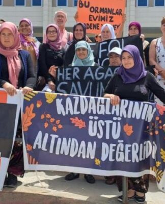 Mahkeme Kazdağlarını talan edecek Cengiz Holding ve Nurol Holding’den yana