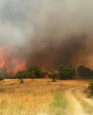 Ülke genelinde orman yangınları da söndürme çalışmaları da devam ediyor