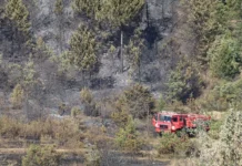 Çankırı’nın Ilgaz ilçesindeki orman yangınının büyümesi nedeniyle 4 köy tahliye edildi