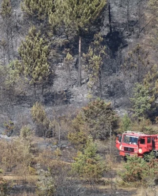 Çankırı’nın Ilgaz ilçesindeki orman yangınının büyümesi nedeniyle 4 köy tahliye edildi