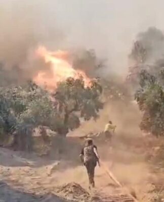 Aydın’da başlayan orman yangını yerleşim yerlerine sıçradı