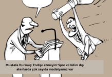 Endişe etmeyin! Spor ve bilim dışı alanlarda çok sayıda madalyamız var