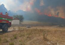Ankara Kızılcahamam’da başlayan yangın Bolu Gerede’ye de sıçradı