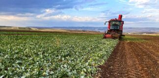 Erdoğan karar verdi: Çiftçilere mazot, gübre ve prim desteği kaldırıldı