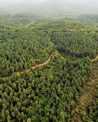 Cengiz Holding’ten Eskişehir’de doğayı katledecek maden projesi