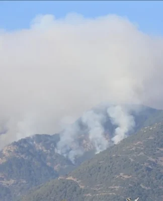 Denizli’de beş gündür devam eden yangınla ilgili Belediye Başkanı’ndan yardım çağrısı
