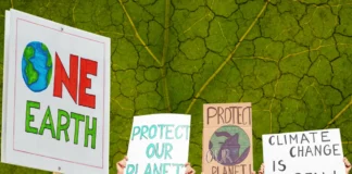 Dünya Bankası’nın “iklim krizi ile mücadele” için ayırdığı 41 milyar dolarlık fon yok olmuş!