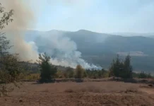 Bursa’nın Büyükorhan ilçesinde çıkan orman yangın, Baklıkesir’e sıçradı