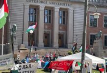 Göteborg’da altı aydır devam eden Filistin ile dayanışma çadırları, polis tarafından söküldü: Eylemciler alana kendini zincirledi