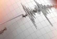 Malatya’nın Doğanşehir ilçesinde 4.6 büyüklüğünde deprem meydana geldi