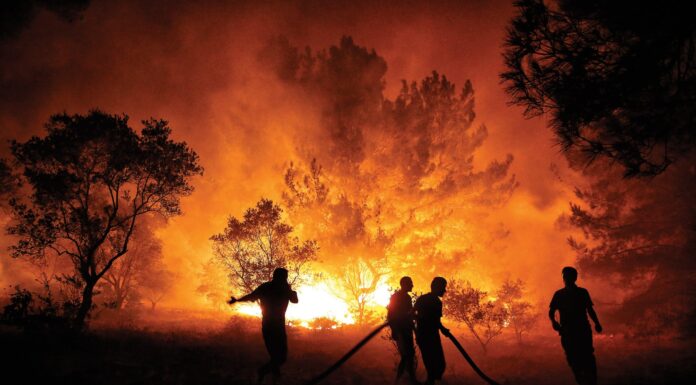 2024, en sıcak yıl rekorunu kırdı