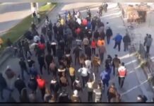 Suriye’de Aleviler, HTŞ’nin yargısız infazlarına ve Şeyh Hasibi türbesinin yakılmasına karşı kitlesel eylemler yaptı