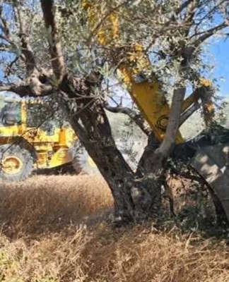 Hatay’da tarım arazilerinde TOKİ yağmasına karşı yurttaşların direnişi sürüyor