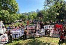 19 Mayıs’ta gençlik bir araya geldi: “Bu daha başlangıç!”