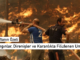 Haftanın Özeti: Yangınlar, Direnişler ve Karanlıkta Filizlenen Umut