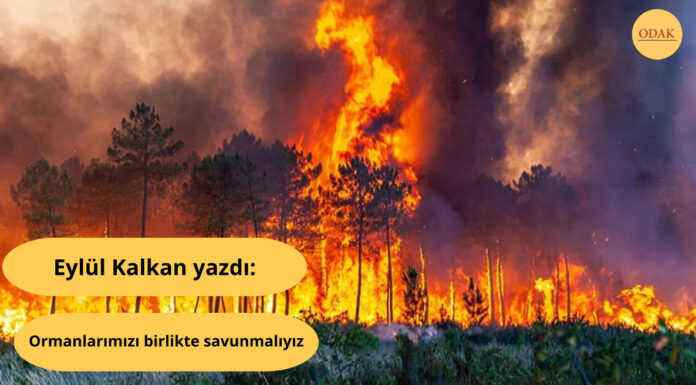 Ormanlarımızı birlikte savunmalıyız