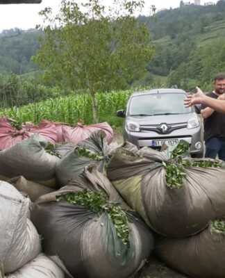 Trabzon’da çay üreticileri, ÇAYKUR’un çay alım politikalarını protesto etti