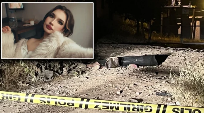 Aydın’da üniversite öğrencisi genç kadın silahla öldürülmüş halde bulundu