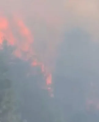 Kastamonu’da orman yangınları: 437 kişi tahliye edildi