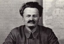 Çeviri: Troçki’yle Bir Görüşme