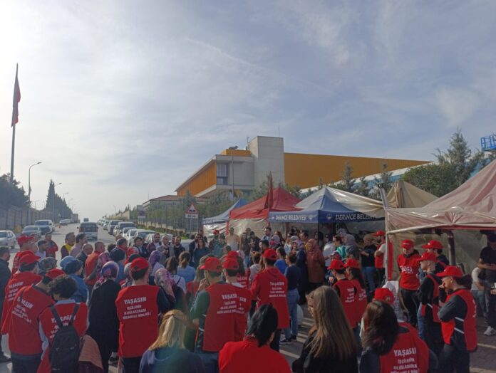 PHOTO-2025-11-22-14-07-50