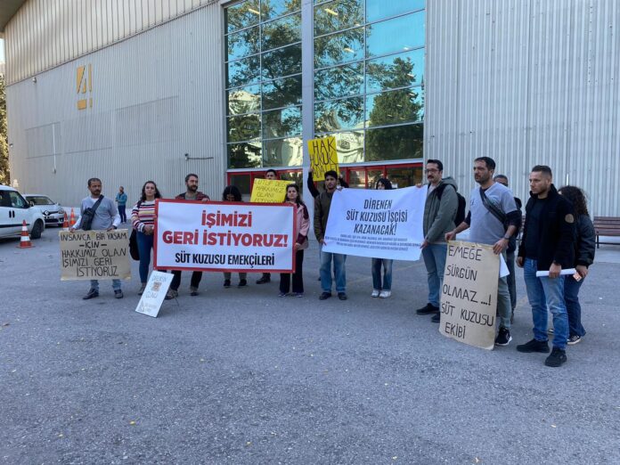 WhatsApp Image 2025-11-17 at 14.53.46