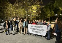 Gülnaz Akdoğan ile dayanışma eylemi: Kadın ve hayvan düşmanlığına karşı bir araya gelindi