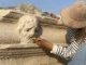 Osmaniye’de süren Kastabala Antik Kenti kazısında filozof tasvirli mask kabartması bulundu