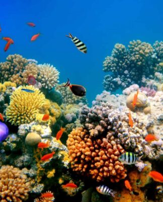 BM raporu: Yüzyıl sonuna kadar küresel ısınma 2,8 dereceye ulaşabilir