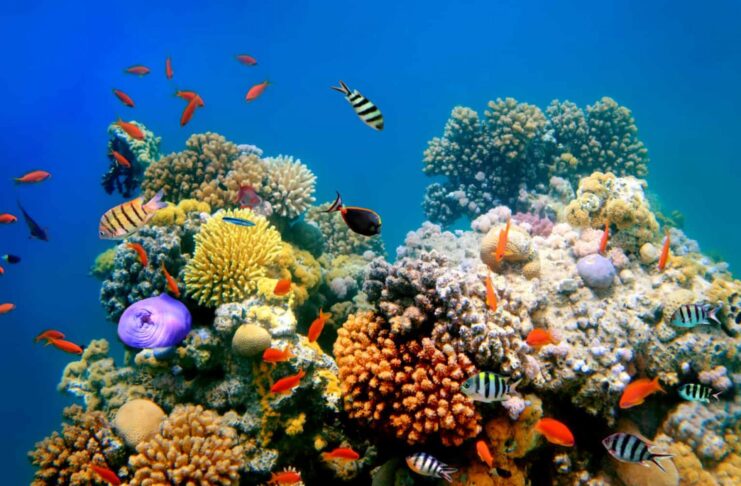 BM raporu: Yüzyıl sonuna kadar küresel ısınma 2,8 dereceye ulaşabilir