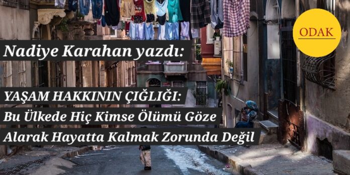 CREATOR: gd-jpeg v1.0 (using IJG JPEG v80), quality = 100?