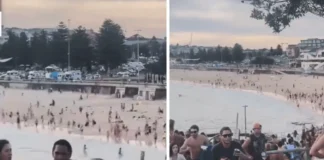 Sidney’de silahlı saldırı: En az 10 kişi yaşamını yitirirken, 29 kişi de yaralandı