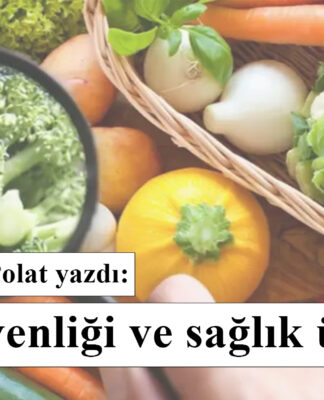 Gıda güvenliği ve sağlık üzerine