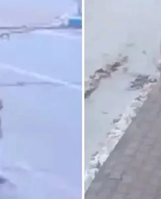Gülistan Doku’nun telefonu, intihar ettiği söylenen yerden sinyal vermedi