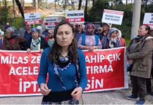 Akbelen direnişçisi Esra Işık tahliye edildi