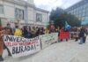 Ege Üniversitesi’nde Toplatılan Köpekler için Kadıköy’de Eylem